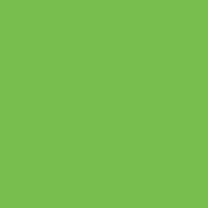 Light Green Matt Vinyl - (305mm x 5m)