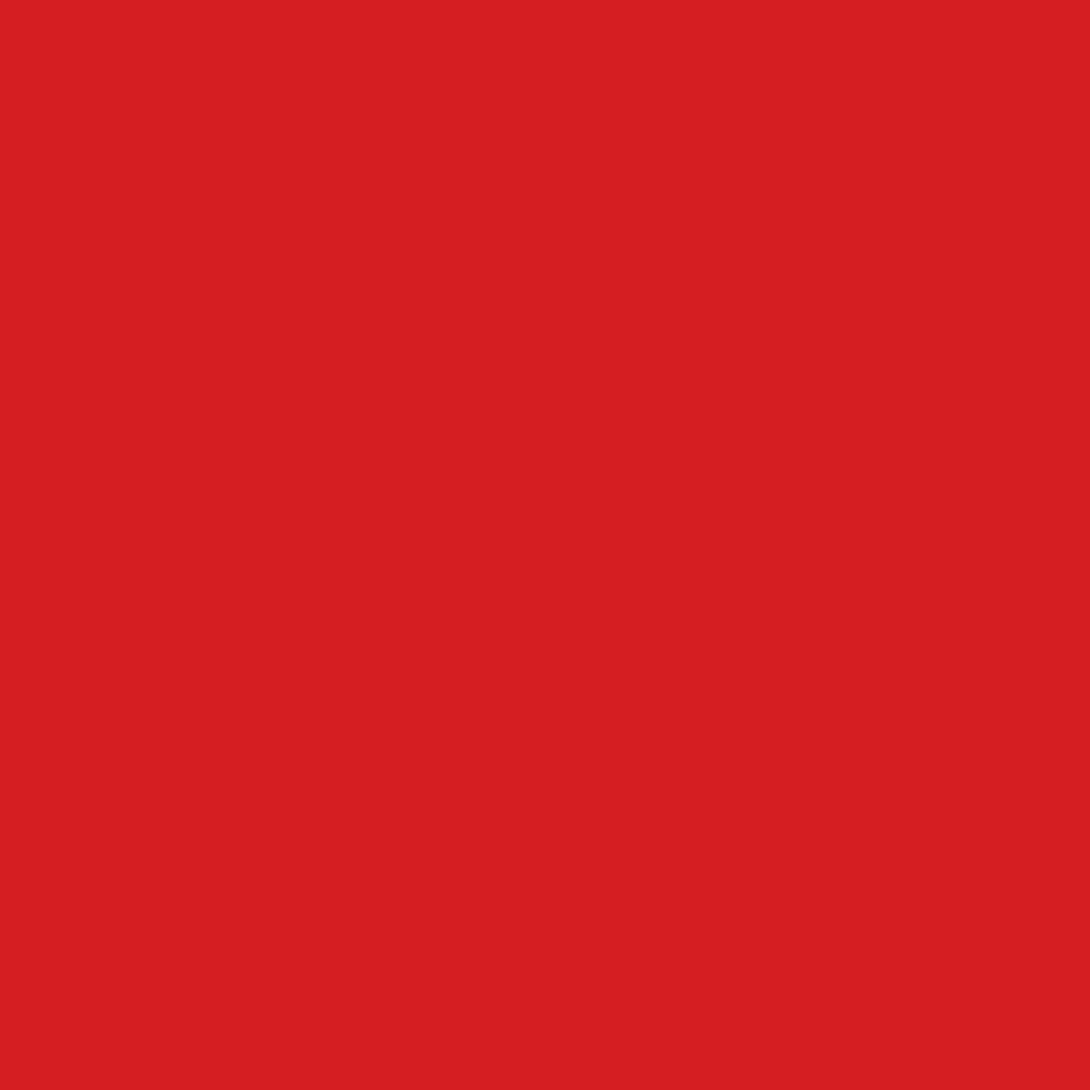 Tomato Red Matt Vinyl - (305mm x 5m)