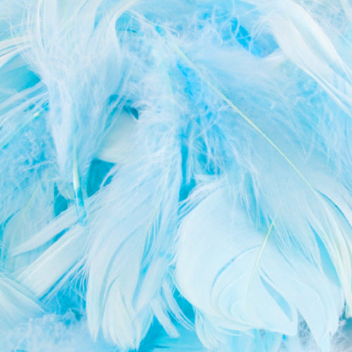 Light Blue No.25 Decorative Feathers - (50g) 3" - 5"