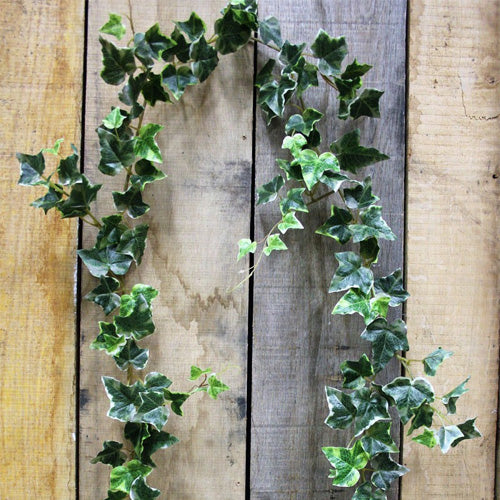 Irish Ivy Garland - 6ft (157 Leaves)