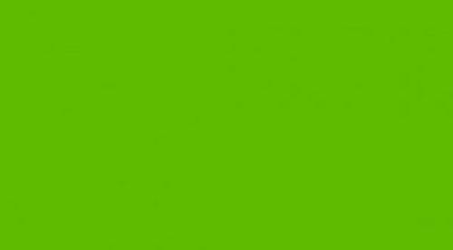 Apple Green Matt Vinyl - (305mm x 5m)