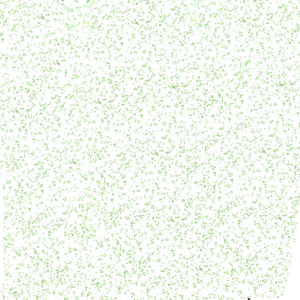 POLI-FLEX Pearl Glitter Rainbow White Vinyl - 1m X 50cm