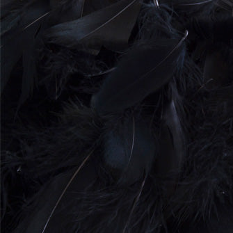 Black No.20 Decorative Feathers - (50g) 3" - 5"