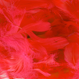Red No.16 Decorative Feathers - (50g) 3" - 5"