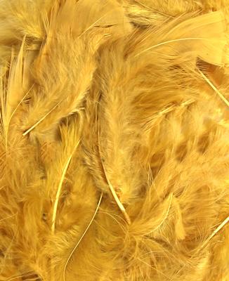 Gold No.35 Decorative Feathers - 8g 3" - 8"