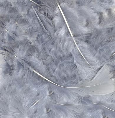 Silver No.24 Decorative Feathers - (8g) 3" - 8"
