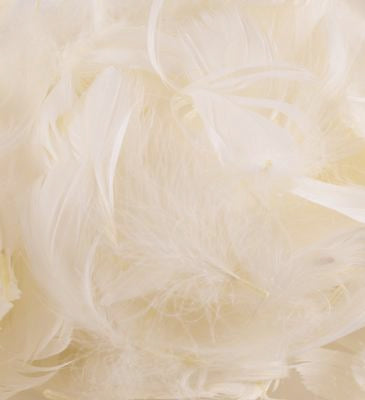 Ivory No.61 Decorative Feathers - (50ct) 3″ – 5″