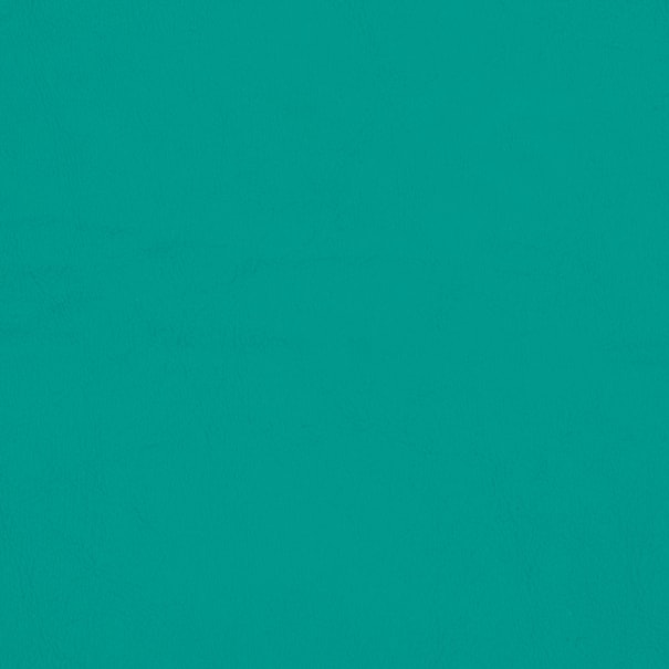 Aqua Green Sign Vinyl 4138 Matt - (5 x A4 Sheet)