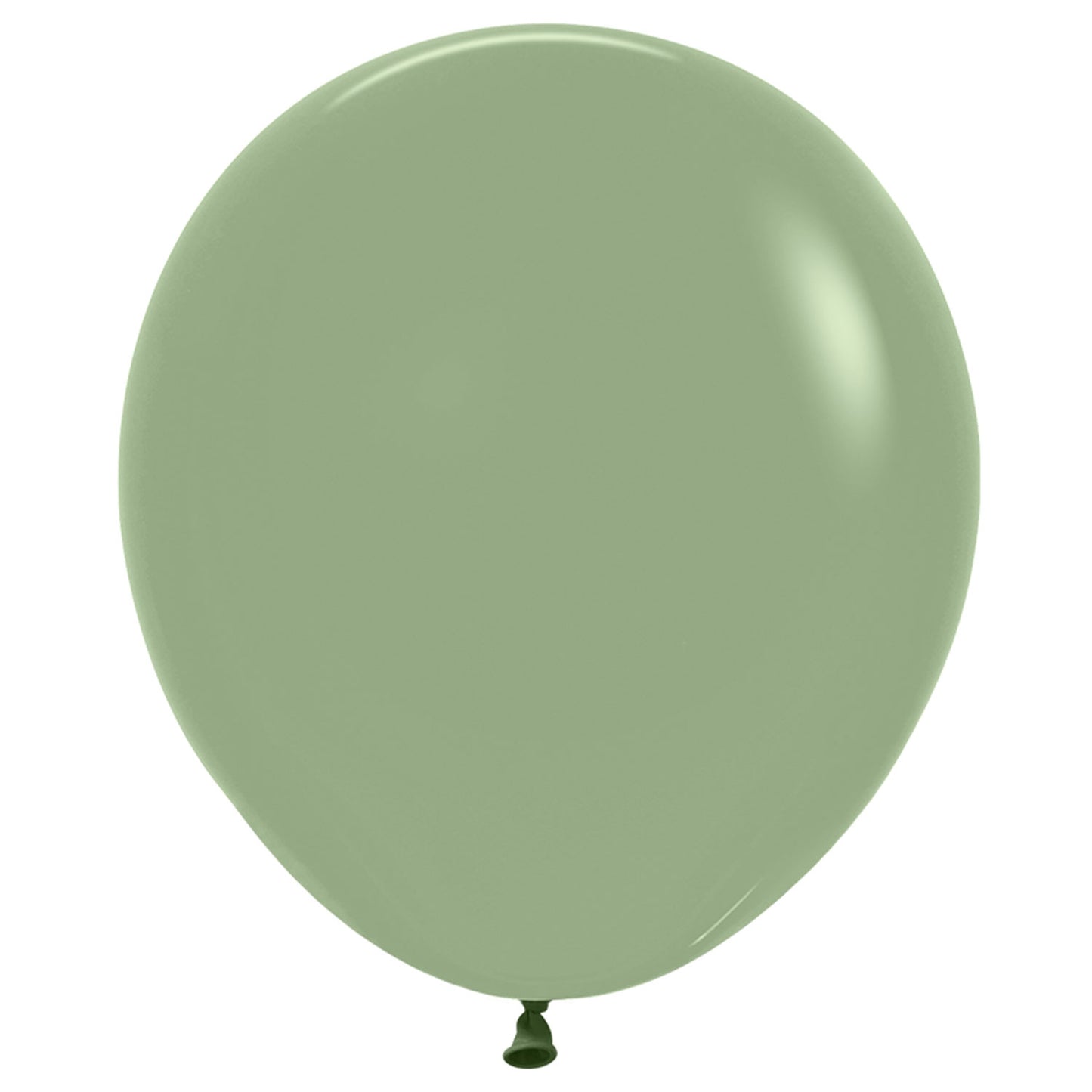 Fashion Eucalyptus 027 Balloons - 18" Latex (25ct)