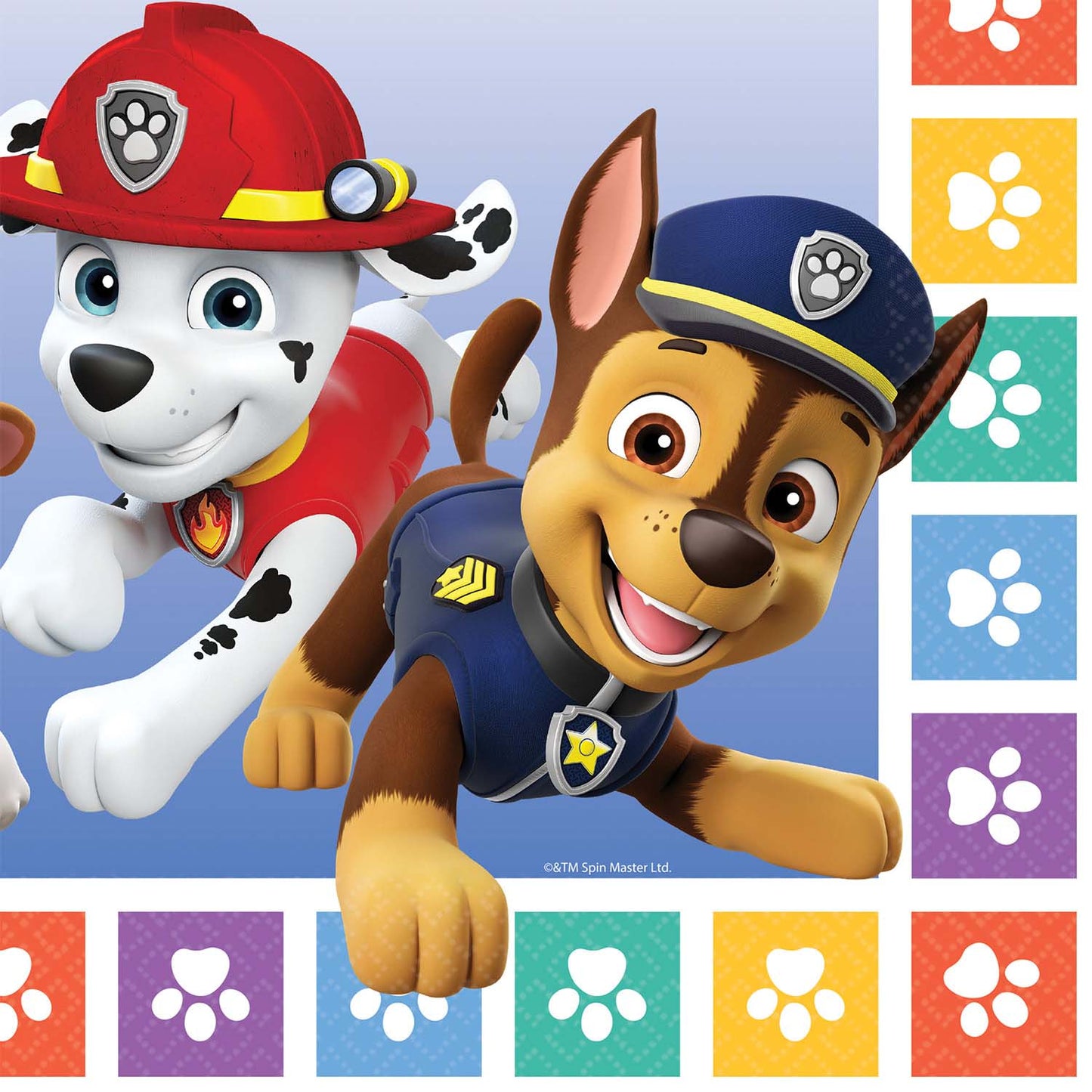 Paw Patrol Paws Party Pack - (4 piece)