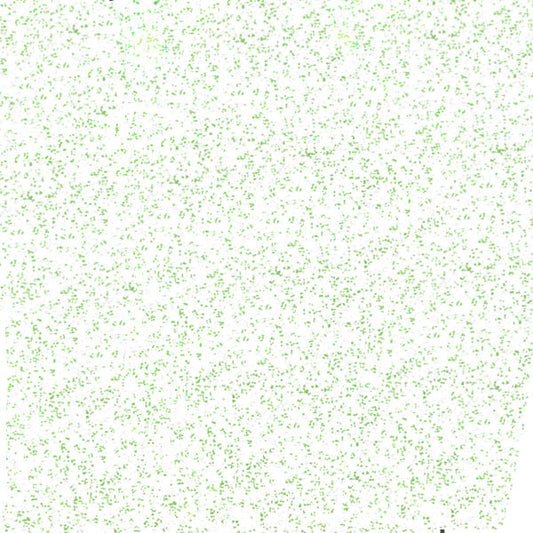 POLI-FLEX Pearl Glitter Rainbow White Vinyl - 1m X 50cm