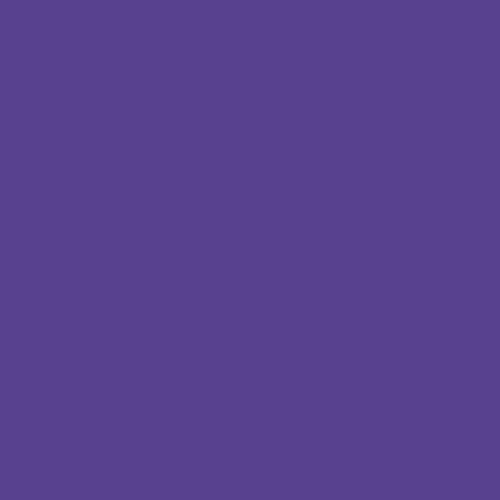 Violet Sign Vinyl gloss - 30 cm X 5M
