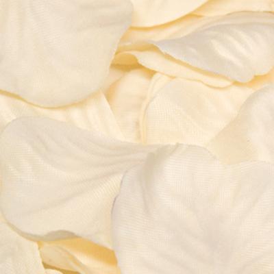 Cream Rose Petals - (164ct)