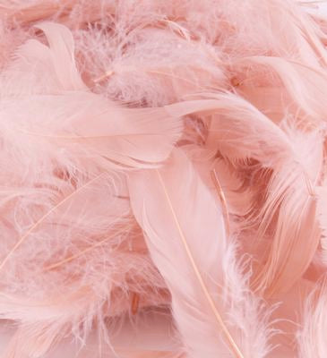 Rose Gold No.87 Decorative Feathers - (50g) 3″ – 5″