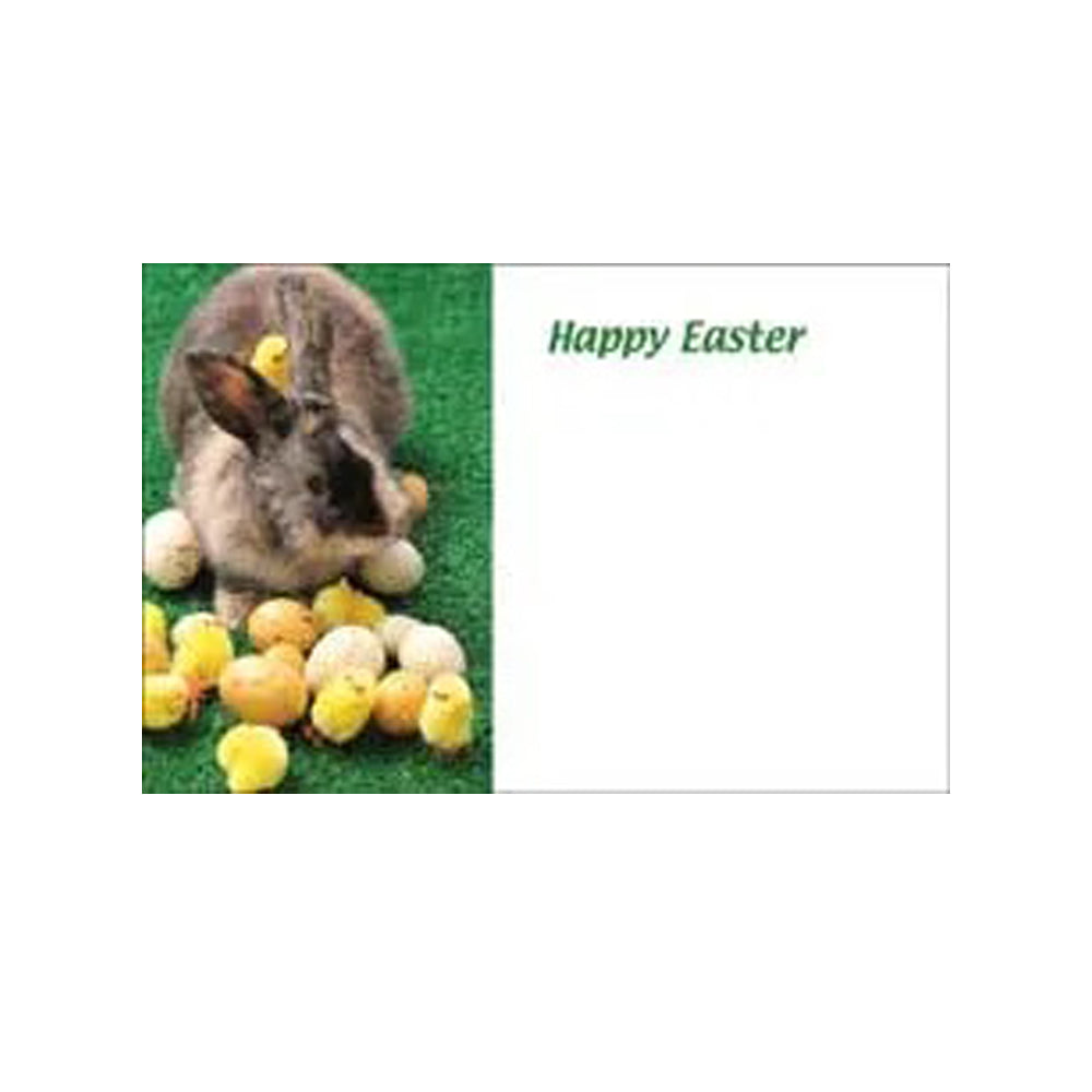 Happy Easter Greeting Card - (50ct)