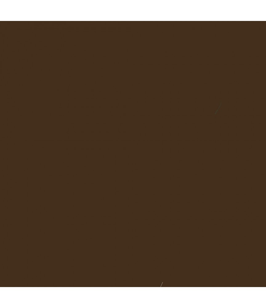 Brown Sign Vinyl 4124 Matt - 30 cm X 5M