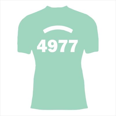 POLI-FLEX® TURBO Mint Film Vinyl