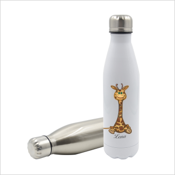 Water Bottle - (500ml)